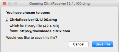 citrix receiver for mac big sur